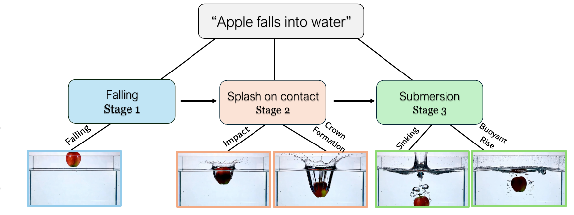 HiPhy explicitly decomposes complex physical events, such as an apple falling into water, into temporally ordered sub-stages: Falling, Splash on contact, and Submersion.